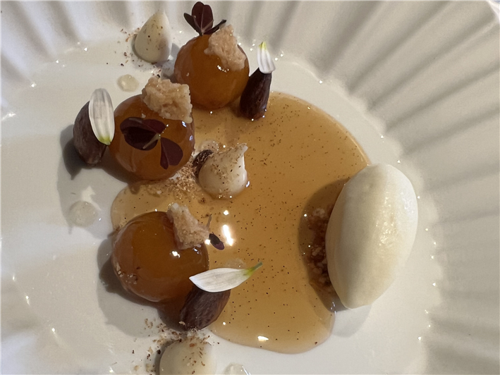 apricot dessert